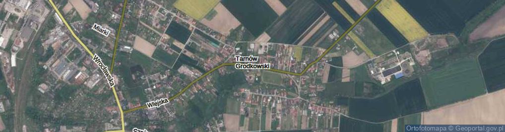 Zdjęcie satelitarne Tarnów Grodkowski ul.